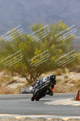 media/Apr-10-2022-SoCal Trackdays (Sun) [[f104b12566]]/Turn 5 Tree of Life (1040am)/